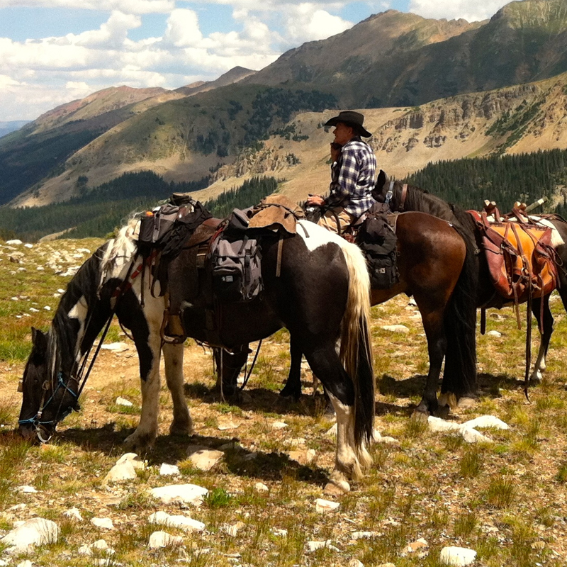 Horseback riding will be back in the spring